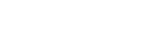 WhatsApp Tech Provider