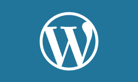 wordpress Developer